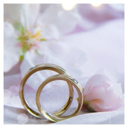 Tailor-Made Wedding Scripts for the Hometown Hitched